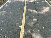 審計室報告直指台中市自行車道管理缺失　觀旅局：重視改善