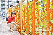 社區泳池變菜園　推動零排碳