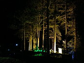 10大賞螢景點之一　百萬螢星耀溪頭