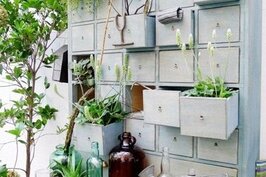 院子中的抽屜櫃放著不同的綠色植物，獨具創意。