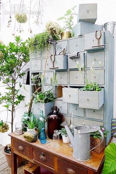 3. 院子中的抽屜櫃放著不同的綠色植物,獨具創意。