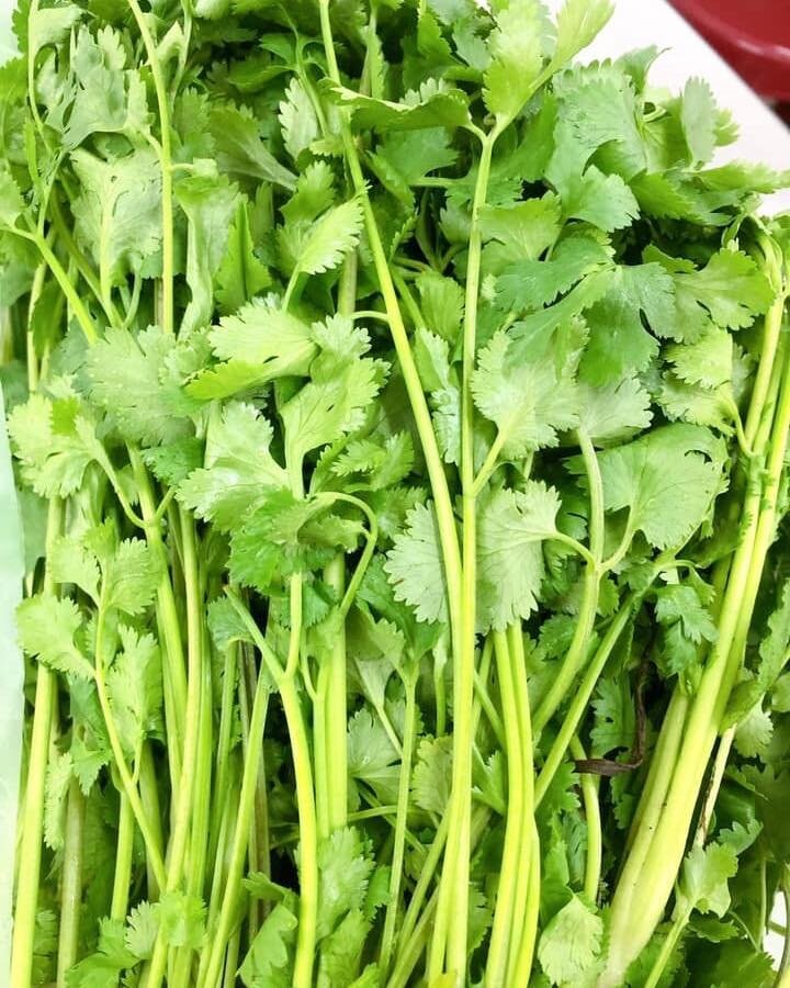 颱風豪雨肆虐,香菜每公斤單價破千元。圖/本報資料照片