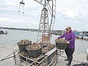 颱風攪局菜價續飆　青蔥破300元