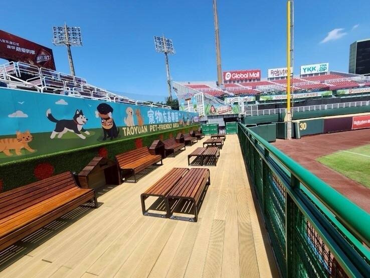 桃市府致力落實寵物友善城市，與中華職棒樂天桃猿合作打造全新寵物觀賽友善設施。圖：動保處提供