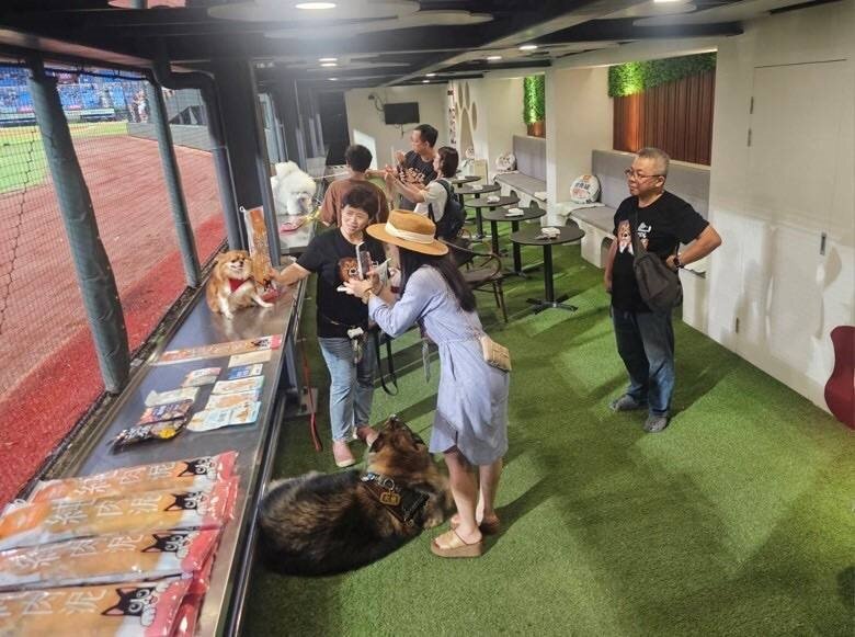 樂天桃猿寵物友善專區門票16日起開放預售，每張門票提供一人及一隻毛孩入場。圖：動保處提供