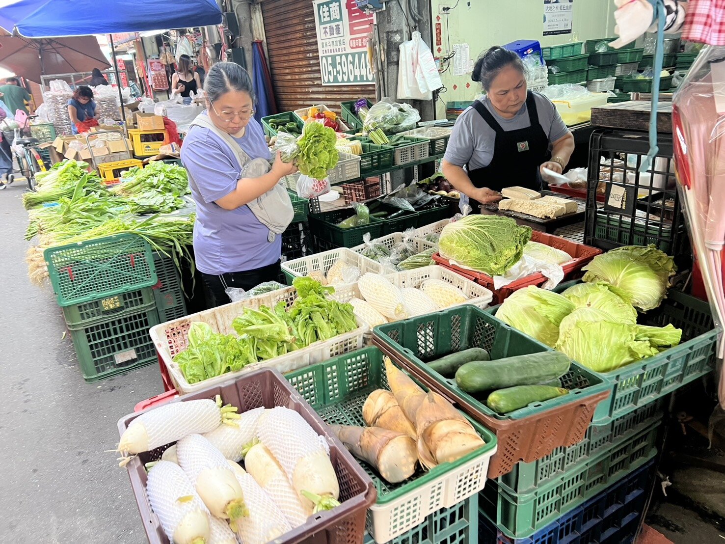 菜價貴得離譜,菜籃族精挑細選,很多菜都買不下手。記者蔡維斌/攝影