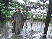 彰化豪大雨　葡萄園變水池
