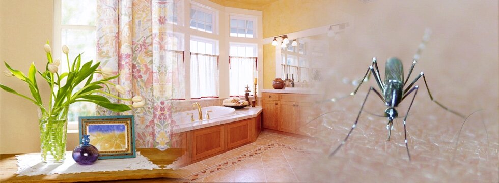 蚊蟲 室內(大刊頭)