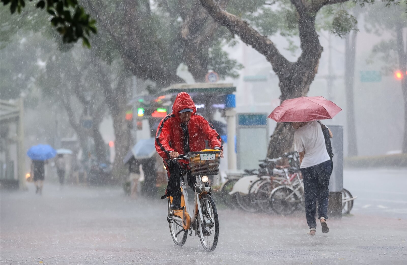 今天午後各地有局部短暫雷陣雨,西半部地區及東半部山區有局部大雨,尤其南部地區及中部山區有局部短延時豪雨發生的機率。本報資料照片