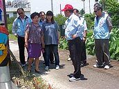 公館沿山道栽植朱蕉　「腰斬」破壞景觀