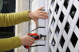 依照陽台大小選購適當尺寸的木格網（示範尺寸為60cm180cm），以L型鐵片將木格網固定於陽台側邊牆面。木格網亦可用伸縮木籬笆代替。（好房News記者 陳韋帆／攝影）
