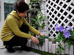 將小型盆栽放置在人工草皮上，並製造出高低錯落的層次。盆栽尺寸以5～7吋最為適合，開花植物與觀葉植物交錯擺放較佳。（好房News記者 陳韋帆／攝影）
