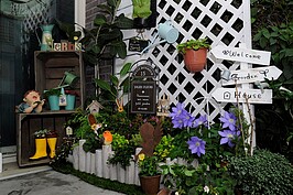 都市人為了爭取空間，常常犧牲掉居住品質，家中陽台不是被納入室內空間，就是用來堆放雜物，著實可惜。其實，想要為住家增添綠意，陽台是最適合揮灑的場域，即使不委託專業人員設計施工，一樣能以DIY的方式自行造景。（好房News記者 陳韋帆／攝影）
