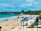 旅宿業住客恢復疫前水準　外國旅客回升至7成