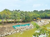 高美館水岸工程　挨批罔顧生態