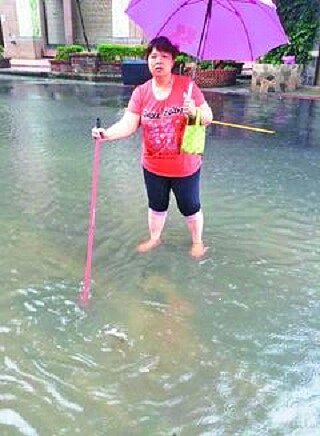 真工社區住戶說，「日前午後突然大雨，排水溝宣洩不及就讓社區門口淹到腳踝了。」（記者李易昌／翻攝）