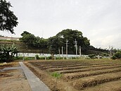 文山掩埋場開闢環保農園　中市招募農夫30名