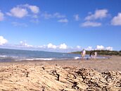 美景消逝　營建署：海岸線不准開發