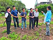 中正區荒廢空地雜草生　小黑蚊躲藏