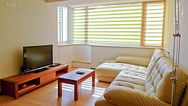 日式小客廳多以檜木、杉木等木質材料建構設計，搭配塌塌米、竹、石等材料，融合後形成獨特的空間感與寂靜的意象。（文／陳韋帆 圖／Pana Home提供）