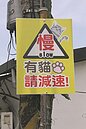 「有貓，請減速」　告示牌吸客拍照