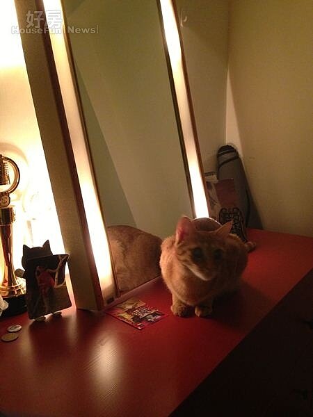 4.蔡燦得都是向朋友租屋,不僅能養貓也住得安全。