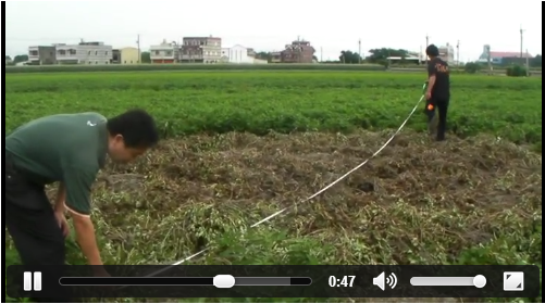 雲林花生田出現焦黑大圓圈。(翻攝自udn聯合新聞網影音新聞)