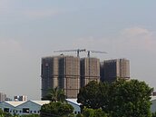 中市府再標售173筆土地　綠議員轟「官方帶頭炒地」藍喊雙標