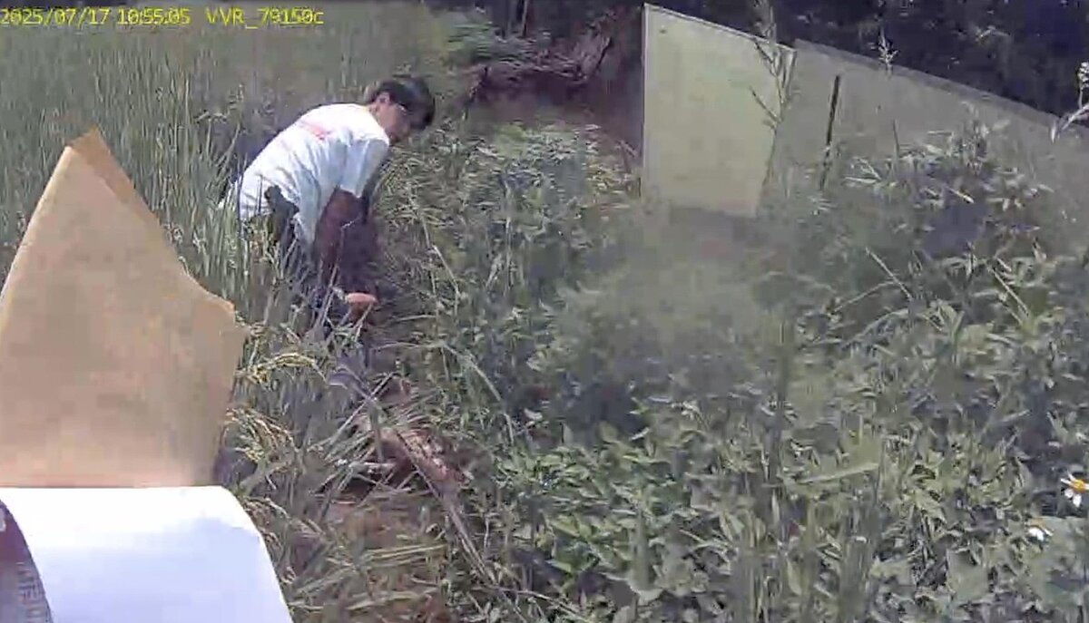 刑事局中打一隊查獲天道盟彭姓男子等人的詐騙集團,涉嫌鎖定退休族抵押房地產詐騙,檢警分5波收網,帶回涉案27人。記者陳宏睿/翻攝