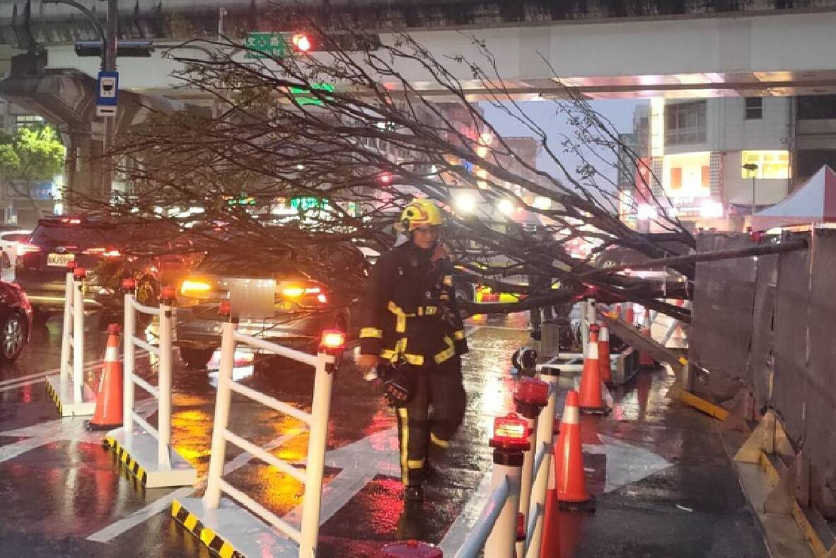 台中市7日傍晚下起大雷雨,西屯區青海路二段、文心路三段的建案種植路樹倒塌,砸中兩輛汽機車。圖/聯合報記者陳宏睿翻攝