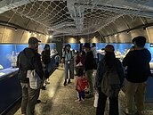 澄清湖30年海洋奇珍園　傳年底熄燈