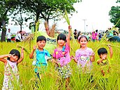 城市微農夫　百人割稻嘗苦樂