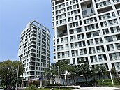 婚育宅明年上路　高雄年輕人：有自己的房子才敢生小孩