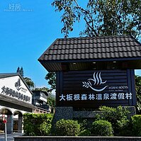 大板根亞熱帶雨林華麗重生