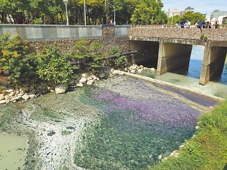 高雄市三民區寶珠溝靠近民族一路孝順橋附近河道,不時有大量漂浮物堆積產生濃烈異味,讓鄰近上百戶居民難以忍受。(任義宇攝)
