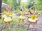 美濃黃蝶祭　舞者翩翩山林間