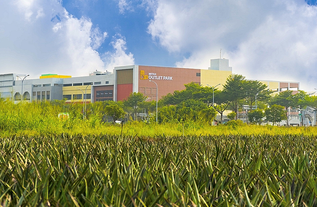 台南高鐵附近以前都是鳳梨田。圖／國產建材實業提供