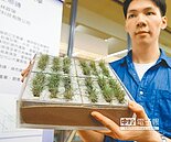 會呼吸的生態磚　產值上看百億