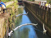 國原院爆重大汙染　1.2公頃土地列控制場址恐再升級