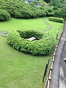 受潮的木頭長出了香菇
(好房News記者賴琬琳拍攝)