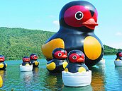 紅面鴨帶小鴨　全家16口游鯉魚潭