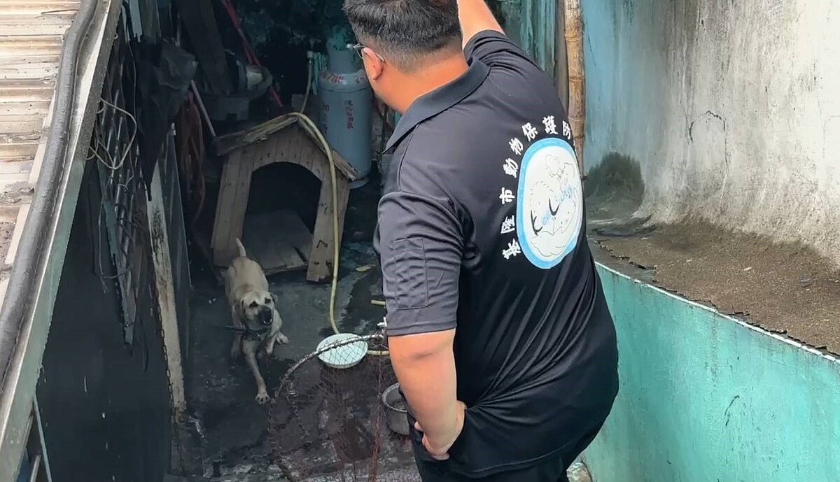 基隆市許姓郵差送掛號信時，被收信人家中的狗攻擊，右手無名指第1節被咬斷，送醫縫合急救。動保所將狗帶回收容，並將列為攻擊性犬隻，防範牠再次傷人。圖／聯合報記者邱瑞杰翻攝