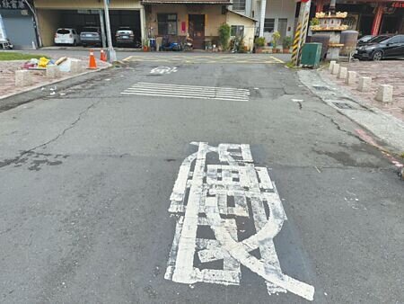 
國民黨高市議員李雅靜近日在鳳山區會勘時，發現和興街路面不僅嚴重破損，且出現「慢」字顛倒還重疊畫設的「交通奇觀」。（洪浩軒攝）
