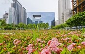台中市西屯區／新市政商圈　BRT、捷運帶動五、七期再躍升