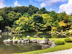 到天龍寺參觀，最好選擇非假日的時候，才能享受整體所傳達的寧靜感。