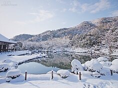 冬天的天龍寺一片白雪，更顯得遺世而獨立。