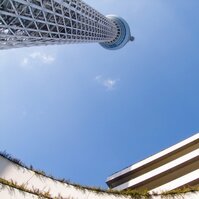 晴空塔看東京