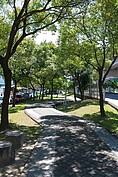 在LISA阿姨的住家附近，沿著環東快速道路平面的綠色廊道公園，是當地人散步的好去處。