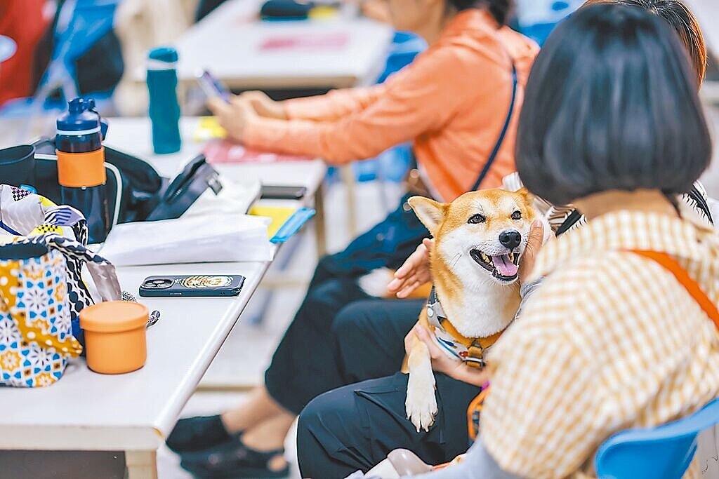 台灣家庭型態多元,家中有養寵物的飼主很多,碰見災難來臨時,寵物的避難策略與外傷急救處置,成為飼主們關心的議題。圖/高市農業局動保處提供