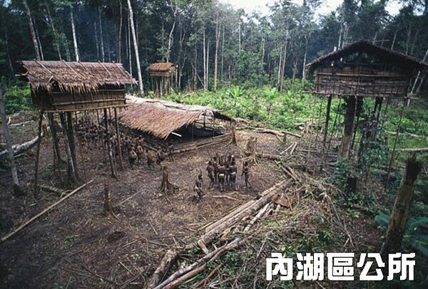 網友拿原始部落的生活照KUSO連勝文眼中的內湖區。(翻攝自台大PTT)